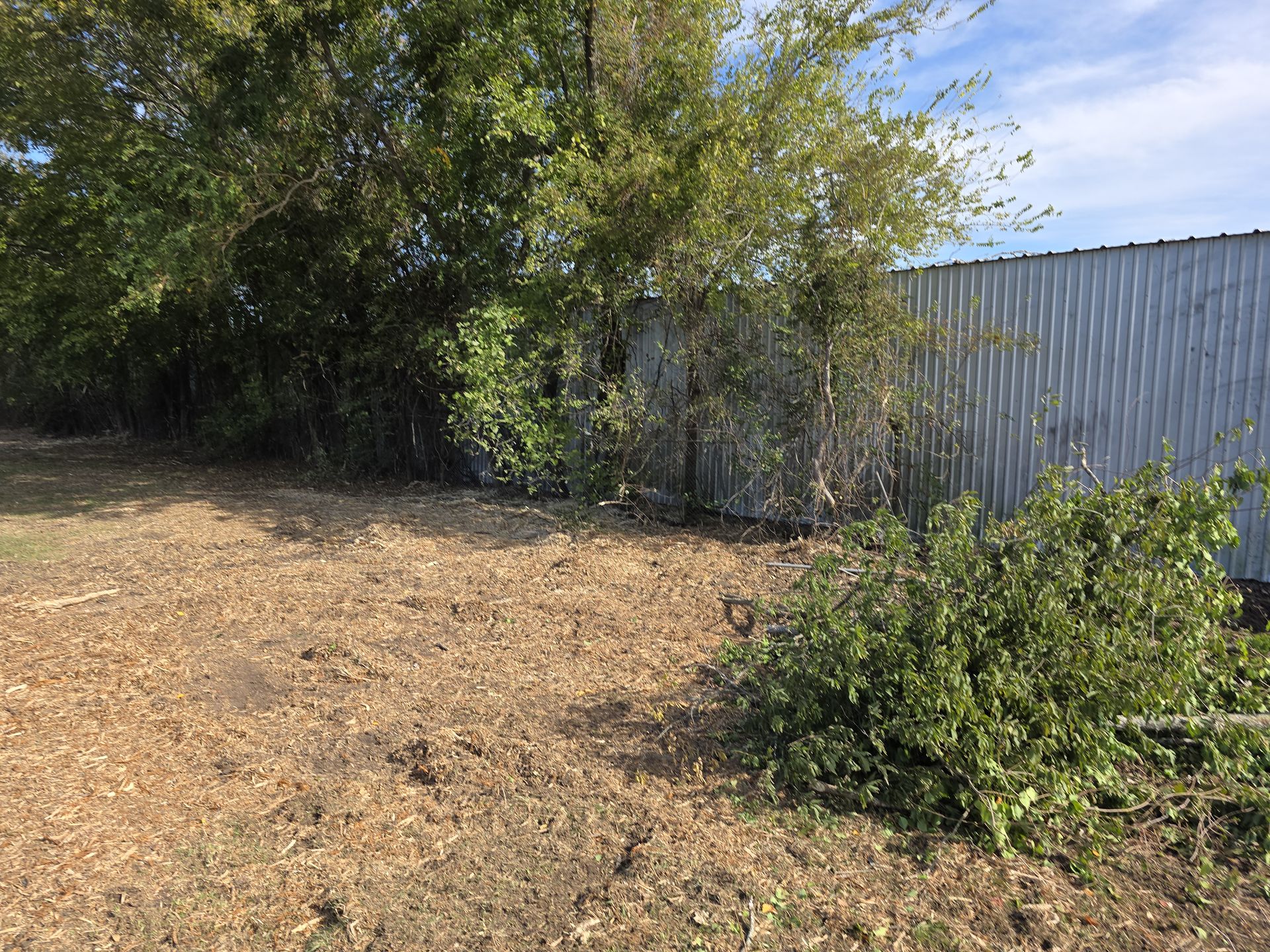 Debris Removal and Haul Off project 1